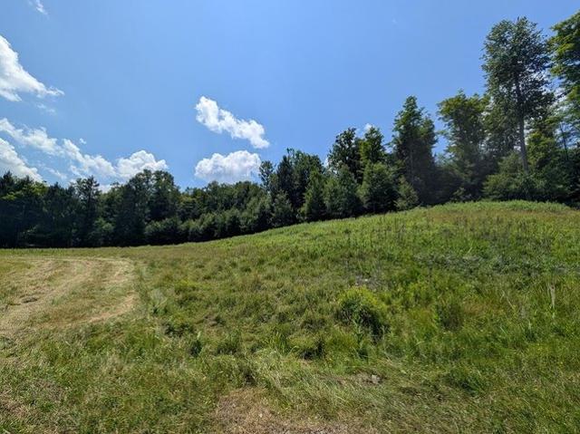 Land for sale in Tioga, Pennsylvania