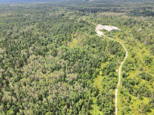 Land for sale in New Sweden, Maine