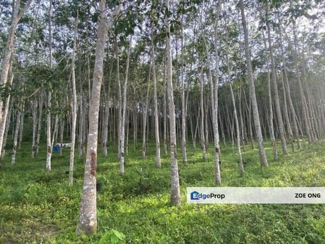 Warehouse for sale in Jenjarom, Selangor