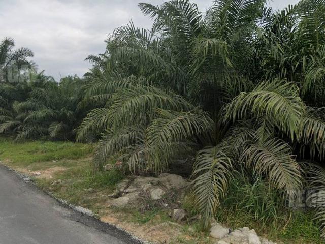 Warehouse for sale in Jenjarom, Selangor
