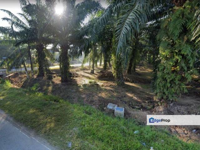 Warehouse for sale in Banting, Selangor