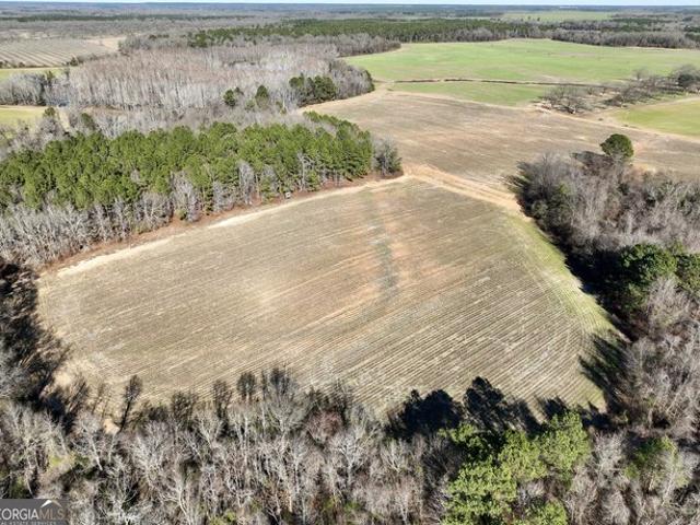 Land for sale in Byromville, Georgia
