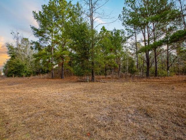 Land for sale in Jennings, Florida