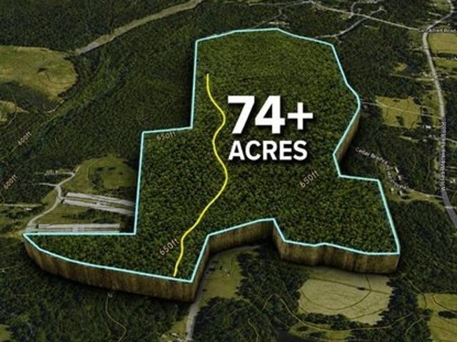 Land for sale in Randleman, North Carolina