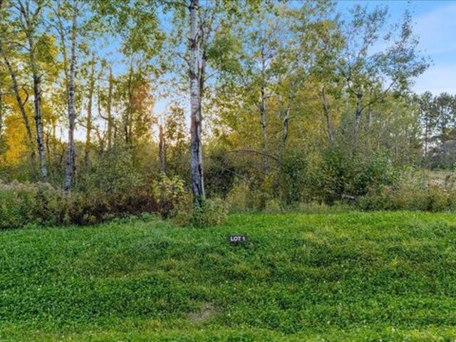 Land for sale in Minnesota