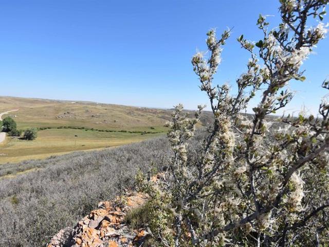 Land for sale in Wyoming