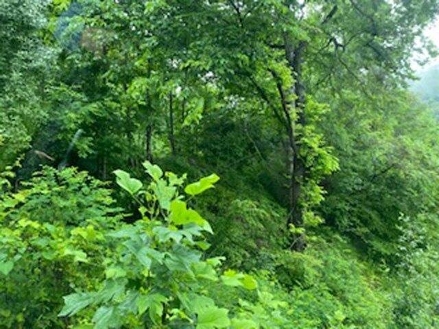 Land for sale in Pikeville