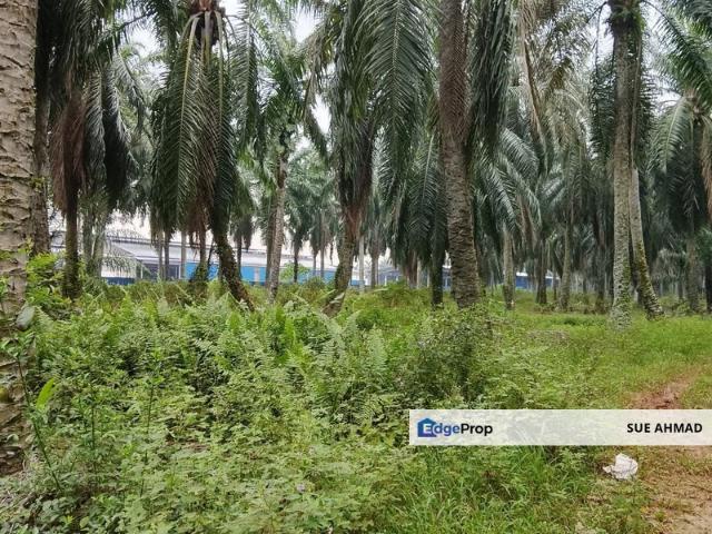 Shop for sale in Jeram, Selangor