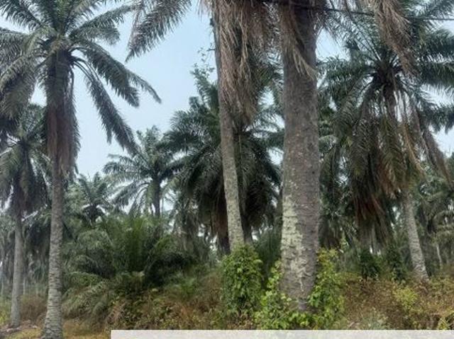 Shop for sale in Bukit Jeram, Jeram