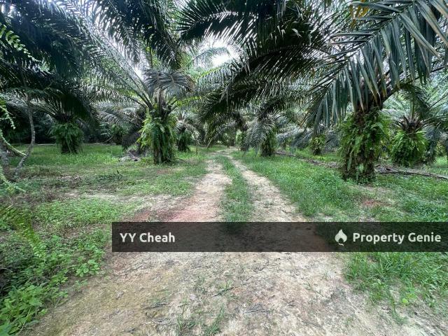 Property for sale in Perak