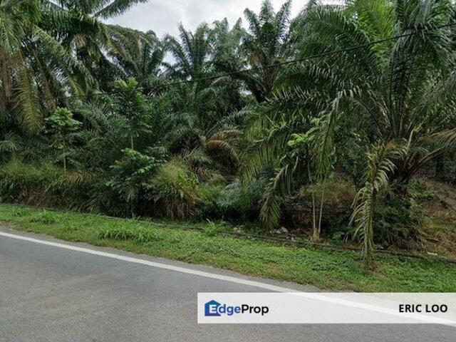 Warehouse for sale in Pekan Nanas, Johor