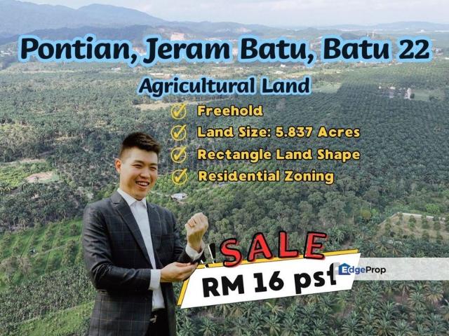 Shop for sale in Pekan Nanas, Johor