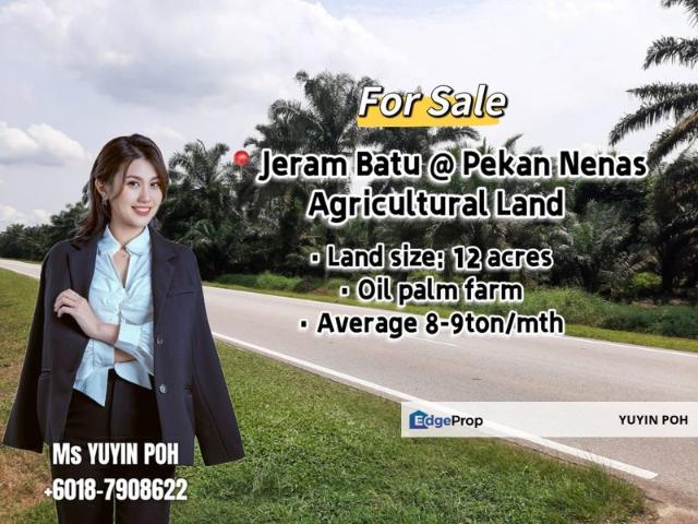 Shop for sale in Pekan Nanas, Johor