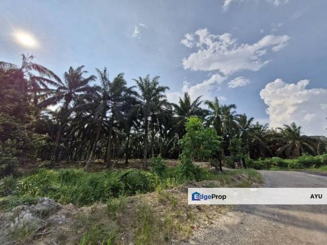 Shop for sale in Pekan Nanas, Johor