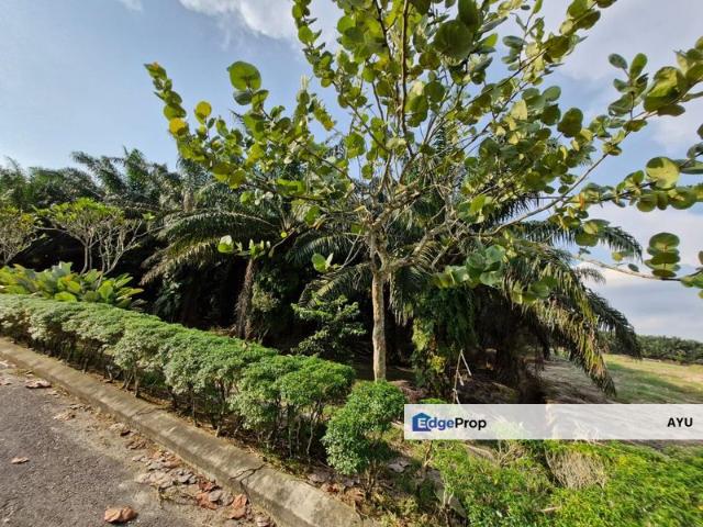 Shop for sale in Pekan Nanas, Johor