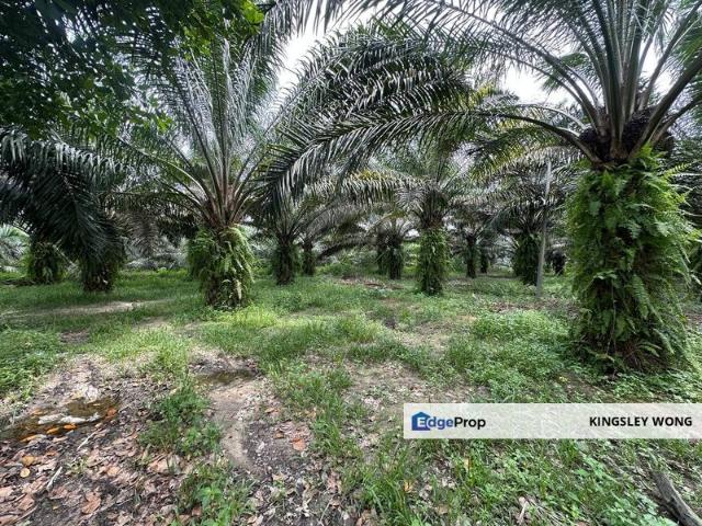 Shop for sale in Perak, Kampar