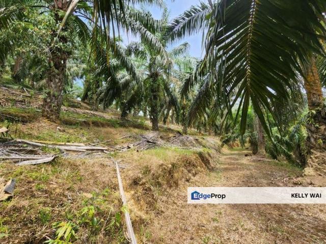 Shop for sale in Jerantut, Pahang
