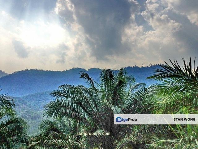 Shop for sale in Jerantut, Pahang