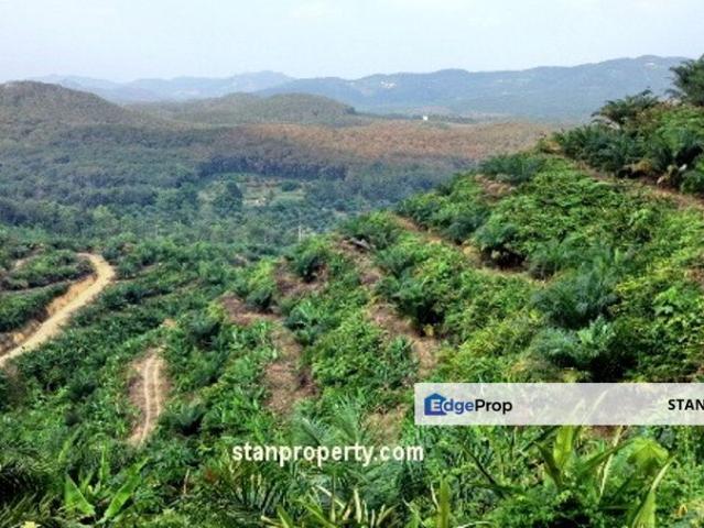 Shop for sale in Jerantut, Pahang