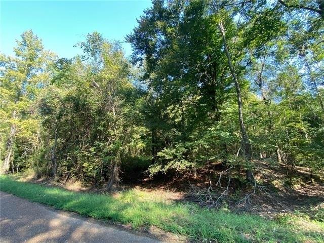 Land for sale in Olla, Louisiana