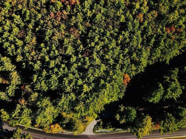 Land for sale in Plantsville, Vermont