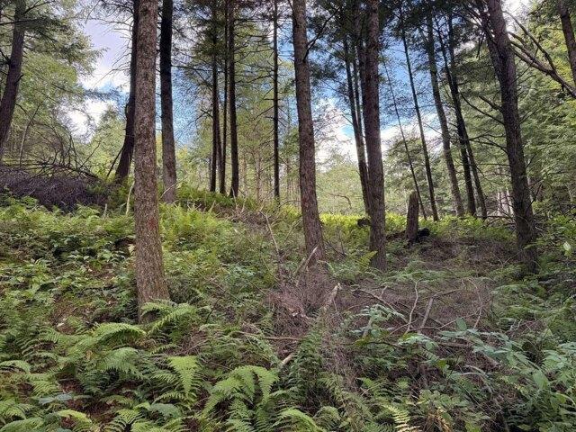 Land for sale in Jericho, Chittenden County