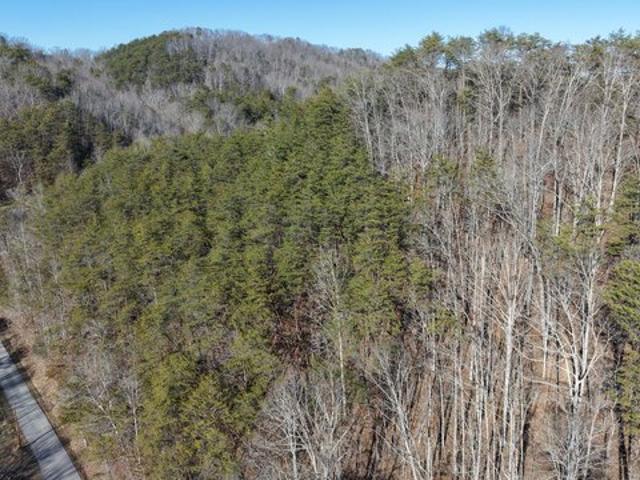 Land for sale in Tennessee