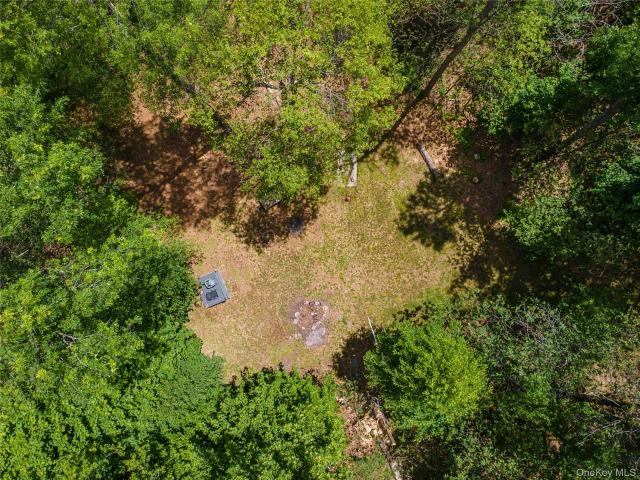 Land for sale in East Branch, New York