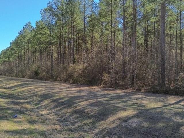 Land for sale in Columbus, Mississippi
