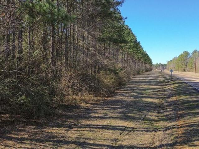 Land for sale in Columbus, Mississippi