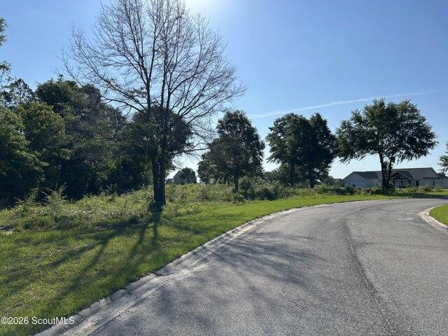 Land for sale in Jesup, Georgia