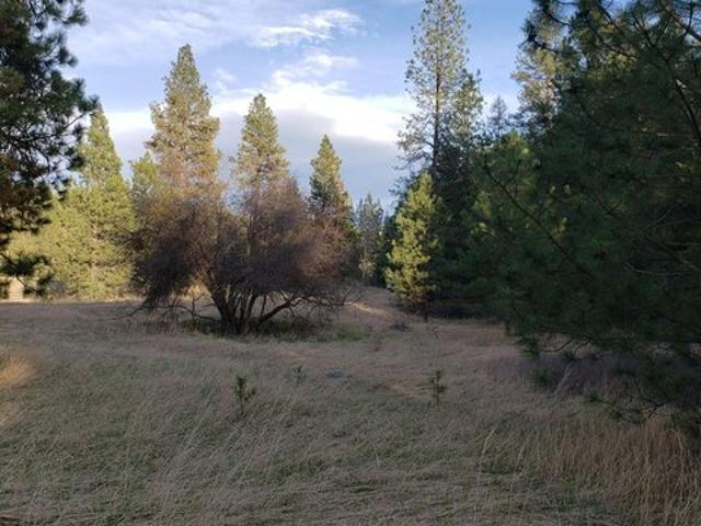 Land for sale in Polson, Montana
