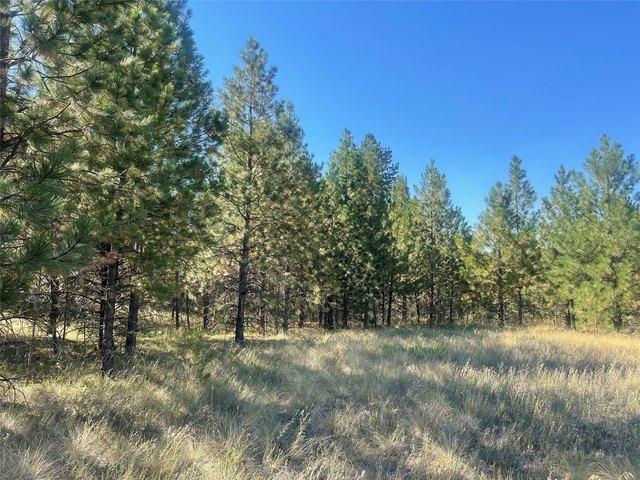 Land for sale in Polson, Montana