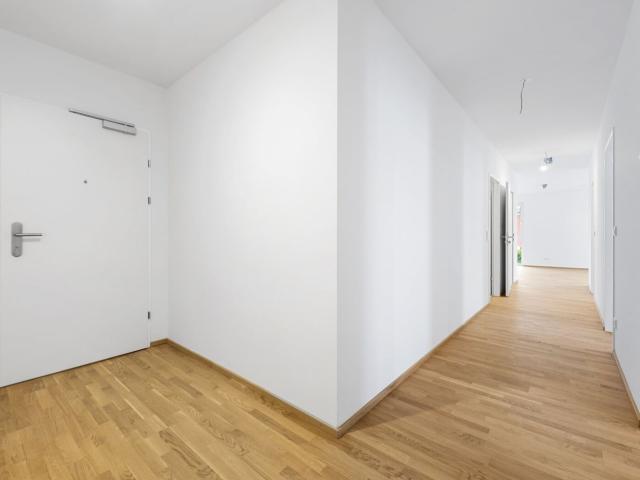 Wohnung kaufen in Wiener Neustadt