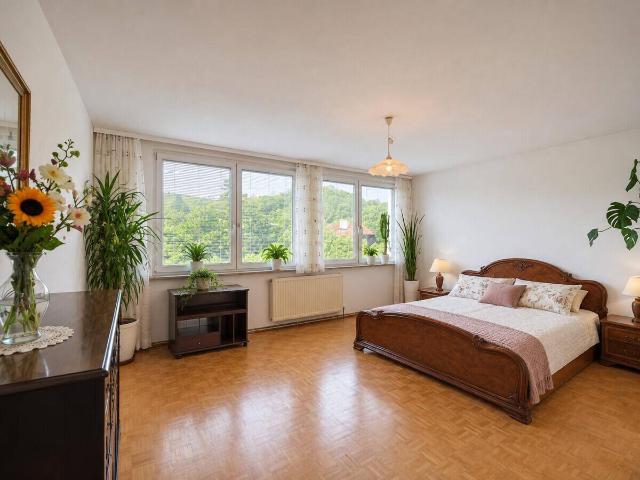 Apartment kaufen in Maria Enzersdorf, Niederösterreich