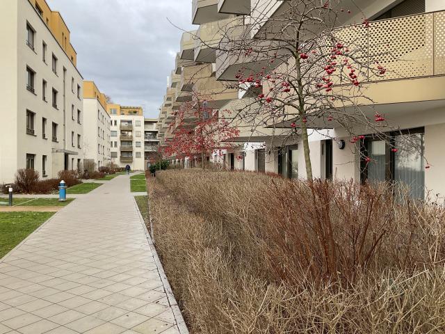 Apartment mieten in Süd, Ludwigshafen