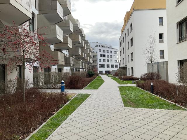 Apartment mieten in Süd, Ludwigshafen