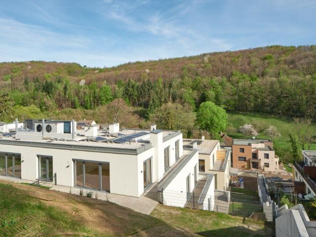 Etagenwohnung mieten in Kaltenleutgeben