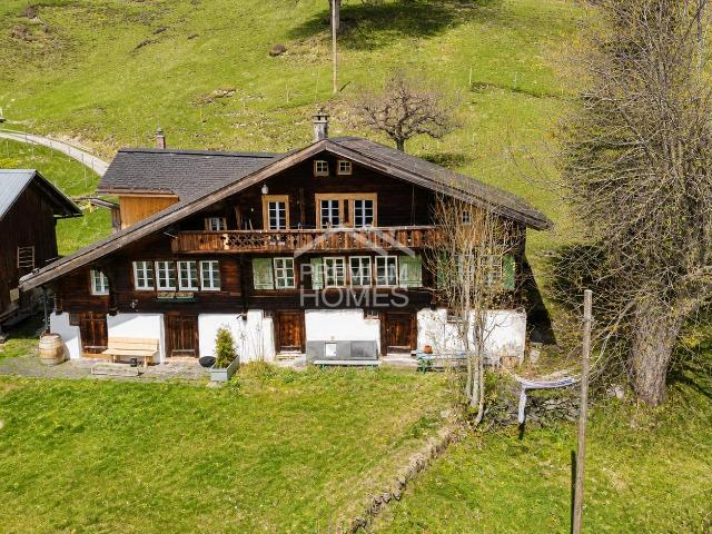 Immobilie kaufen in Grindelwald, Bern