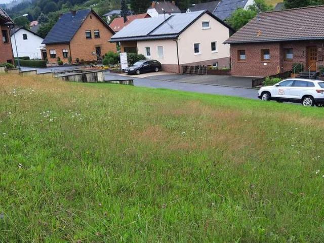 Erdgeschosswohnung kaufen in Neroth, Landkreis Vulkaneifel