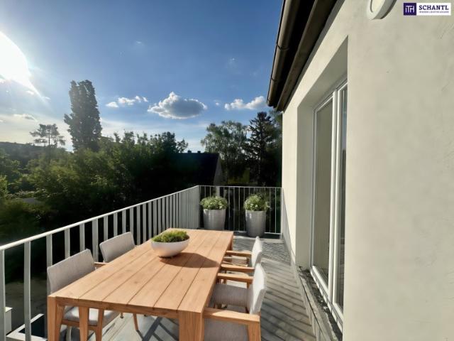 Wohnung kaufen in Korneuburg, Niederösterreich