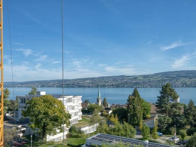 Attikawohnung kaufen in Horgen, Zürich