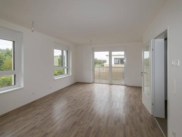 Apartment mieten in Großstelzendorf, Göllersdorf