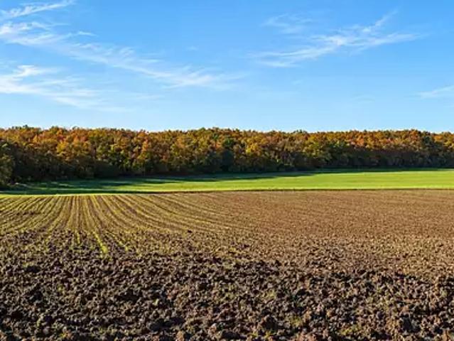 Terrain vente à Châteauroux, Jeu-les-bois