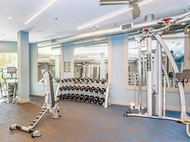 Apartment for rent in Dallas, Texas