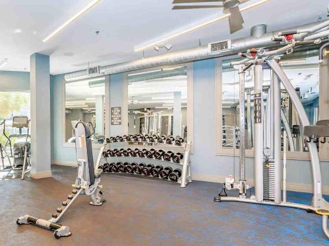 Apartment for rent in Dallas, Texas