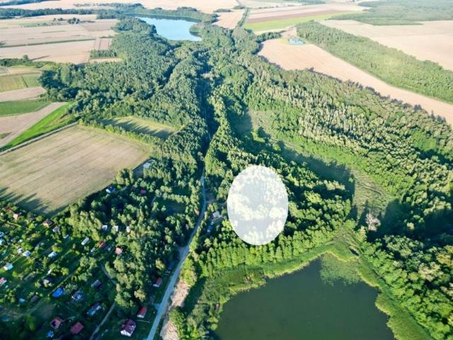 Grunt na sprzedaż w Debrzno, Pomorskie