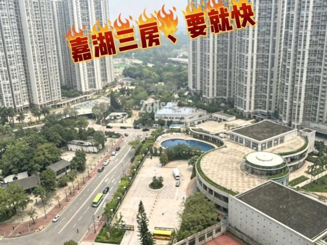 提供 出租 的 公寓