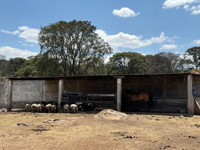 Rancho en venta en Jilotepec, Estado de México