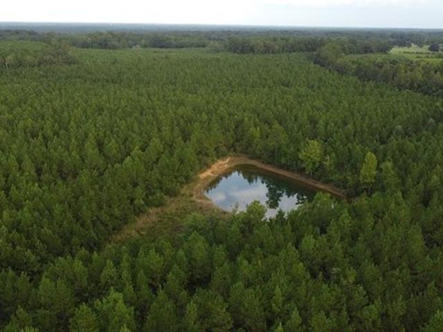Land for sale in Franklinton, Louisiana